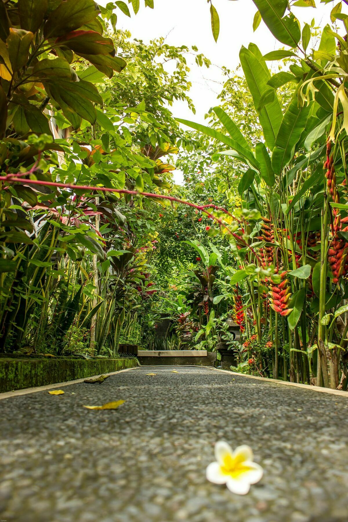 Bismajaya Bungalow Ubud  Exterior photo